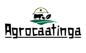 LOGO agrocaatinga 2